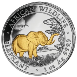1 Unze Somalia Elefant 2019 gilded
