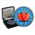 1 OZ Silber Maple Leaf 2020  Color Ornament Edition in Box + CoA