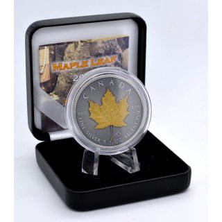 1 OZ Silber Maple Leaf 2022 Gold Treasure Edition in Box + CoA