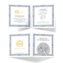 The Allegories 2023 Galia &amp; Germania 1 oz 999 Silber