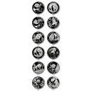 China - 2007 - 25th Anniversary Silver Panda Proof Set - Box &amp; COA